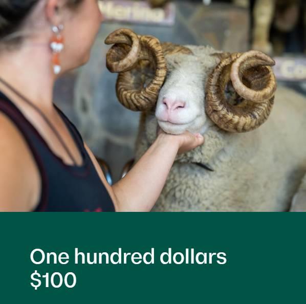 One hundred dollars